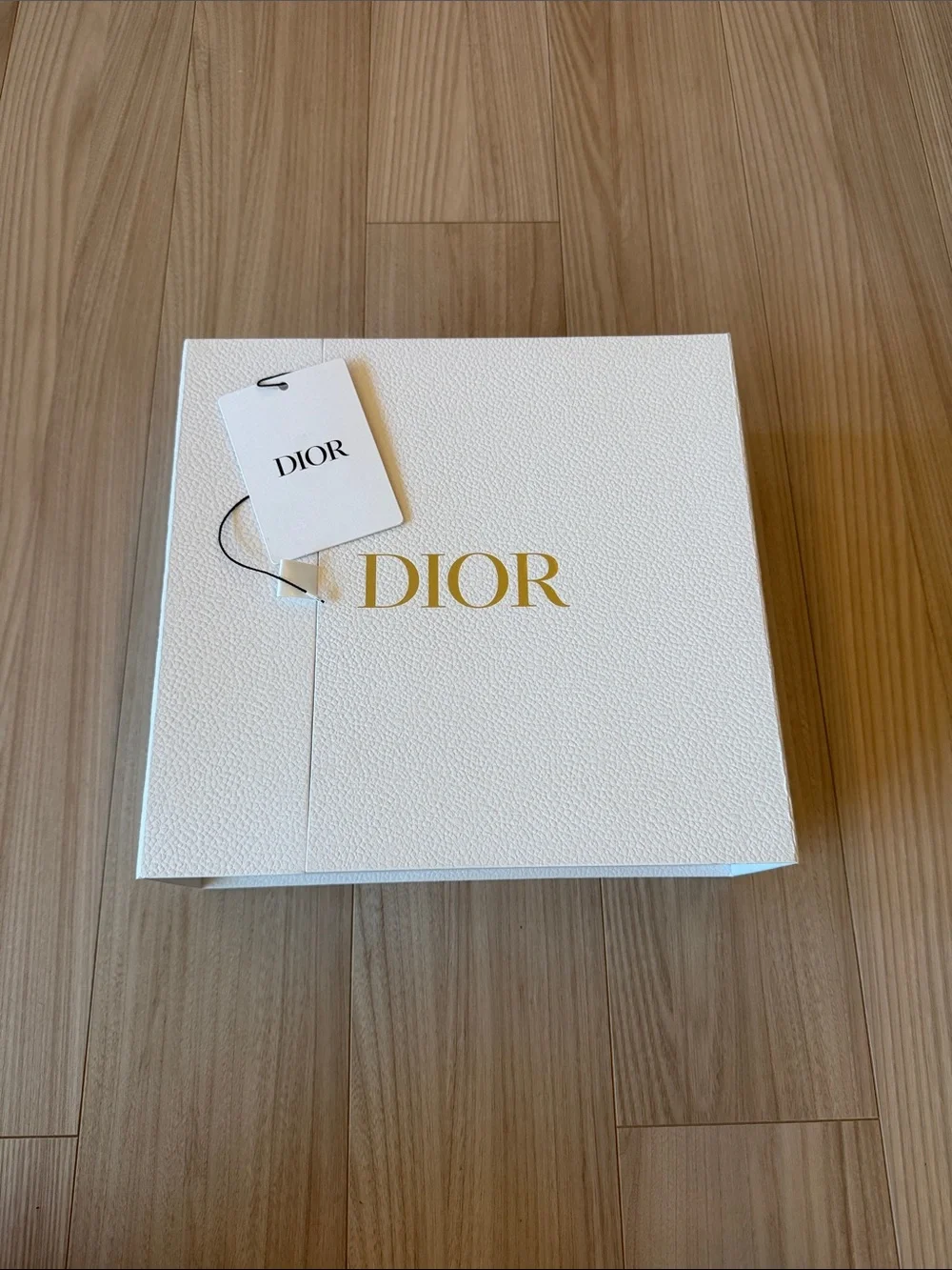 Dior book tote bag east west